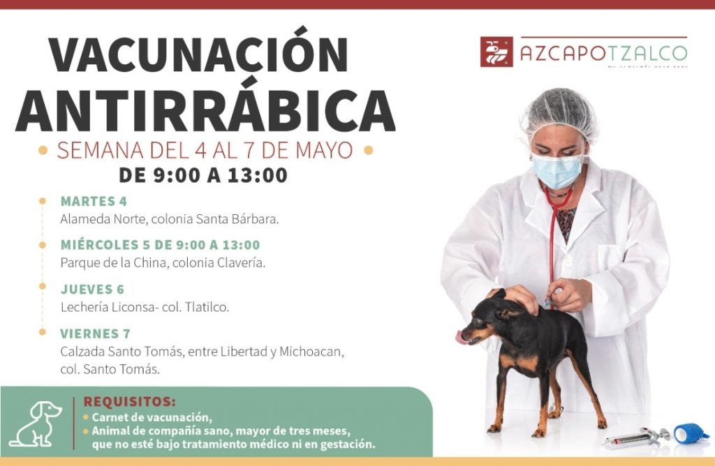 Vacunación Felino y Canino